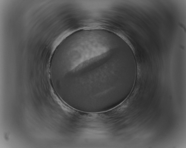 X0000102041485200807181501