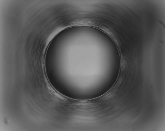 X0000102041486200807181501