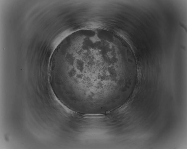 X0000102041487200807181501