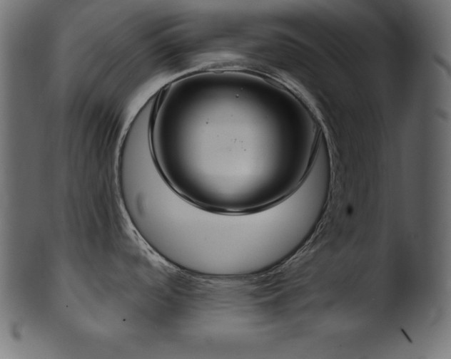 X0000102041488200807181501