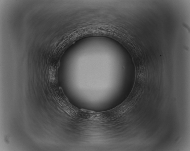 X0000102041490200807181500