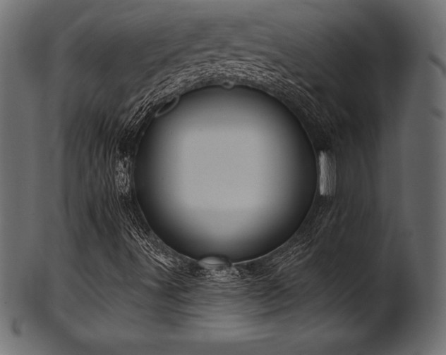 X0000102041491200807181500