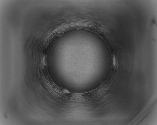 X0000102041492200807181500