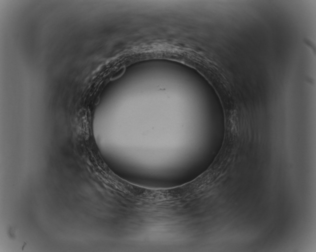 X0000102041493200807181501