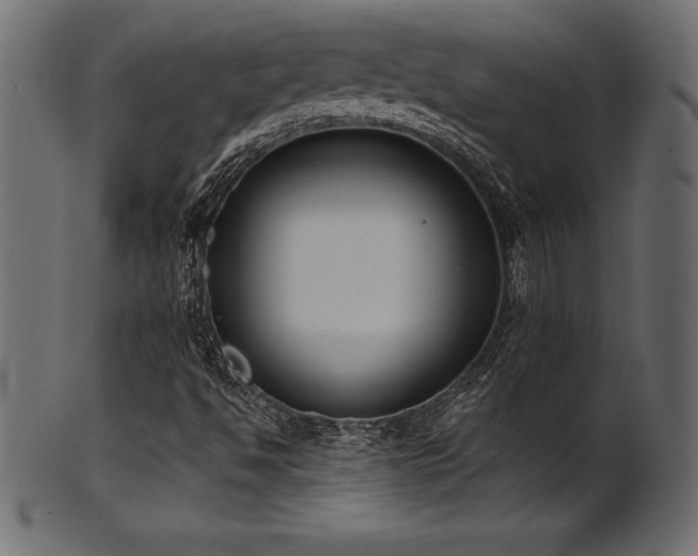 X0000102041494200807181501