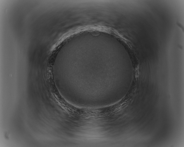 X0000102041496200807181501