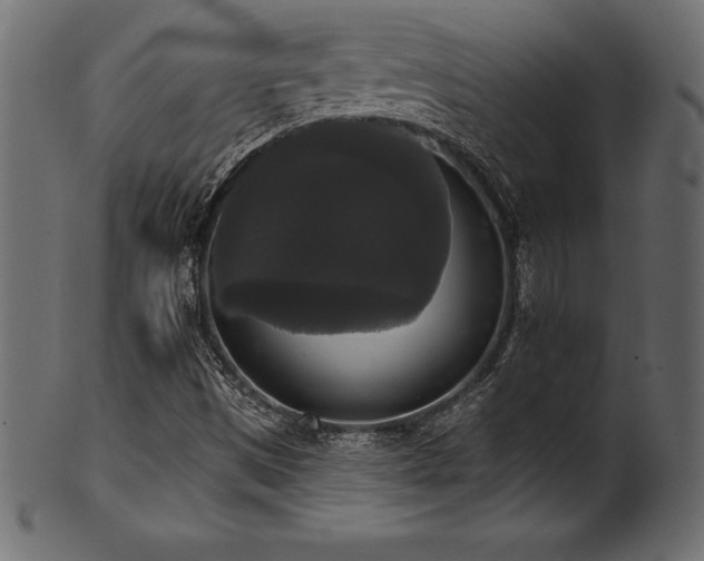 X0000102041497200807181501