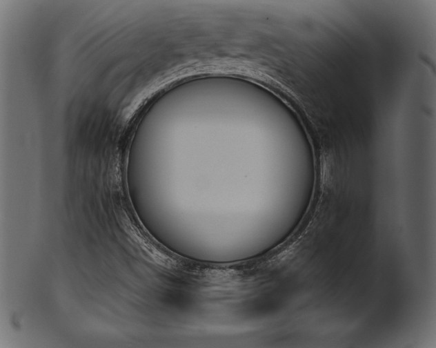 X0000102041498200807181501