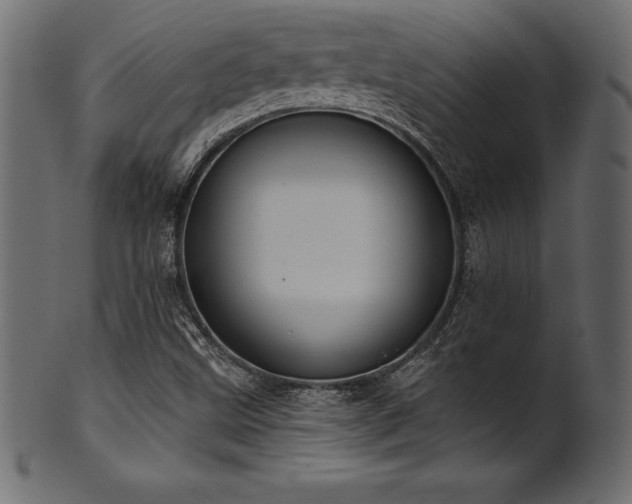 X0000102041499200807181501