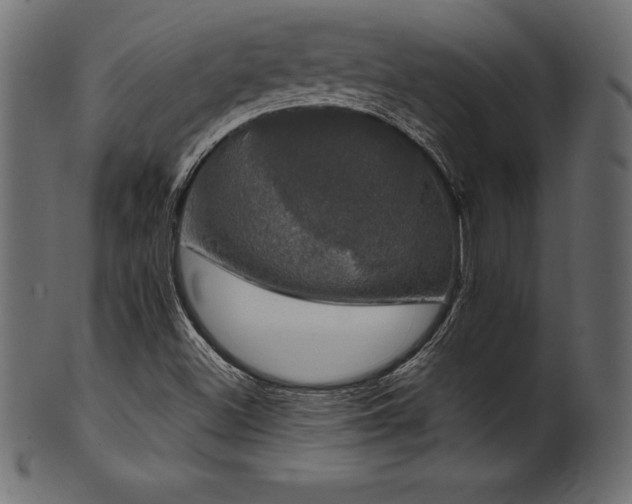 X0000102041500200807181501
