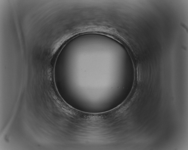 X0000102041501200807181501