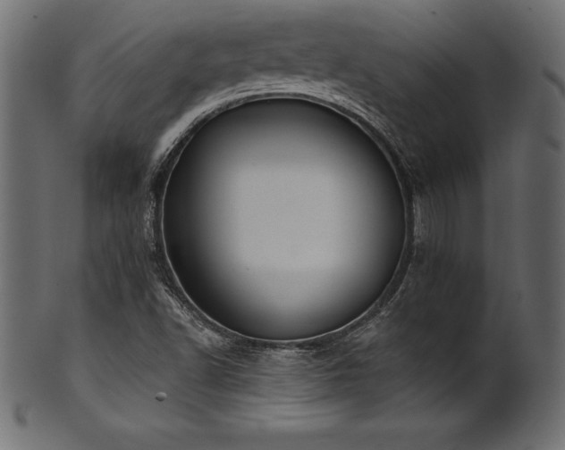 X0000102041502200807181501