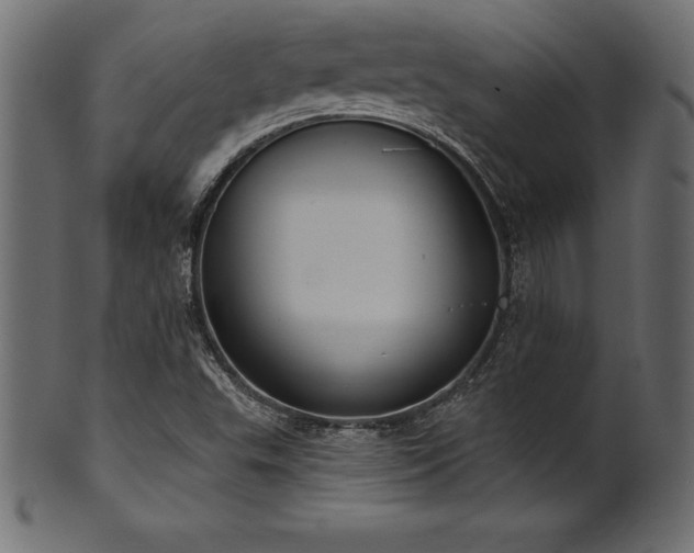 X0000102041503200807181501