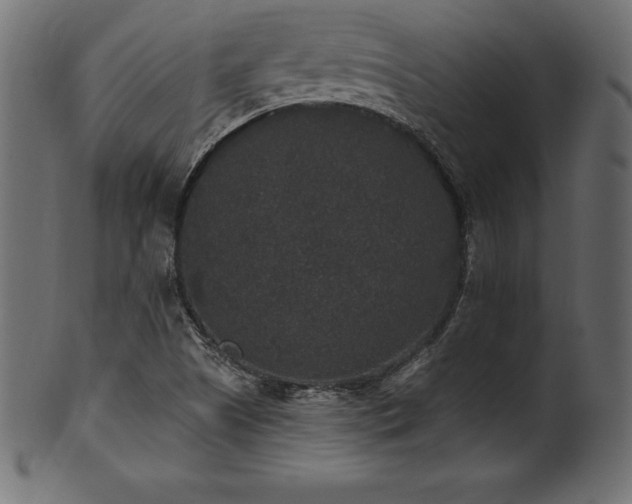 X0000102041505200807181501