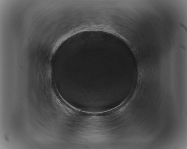 X0000102041506200807181501