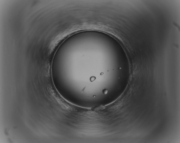 X0000102041507200807181501