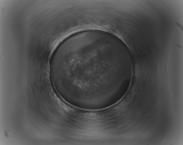 X0000102041508200807181501