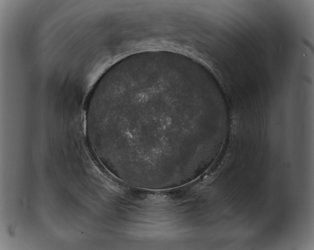 X0000102041509200807181501