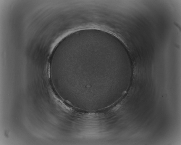 X0000102041510200807181501