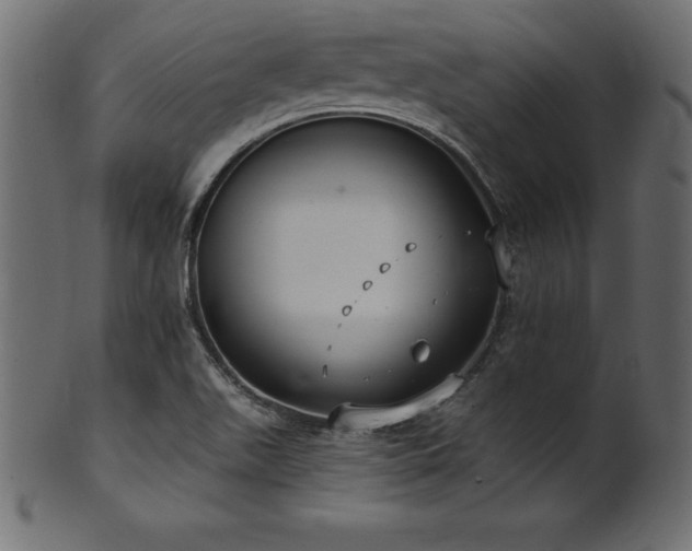 X0000102041511200807181501
