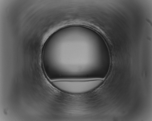 X0000102041512200807181501