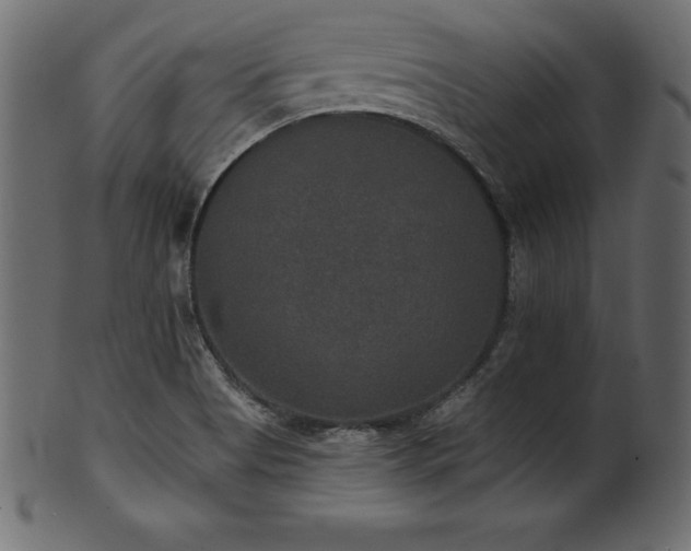 X0000102041513200807181501