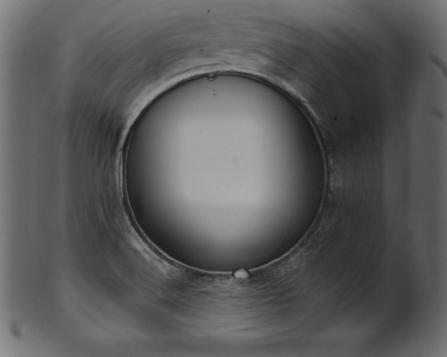 X0000102041516200807181501