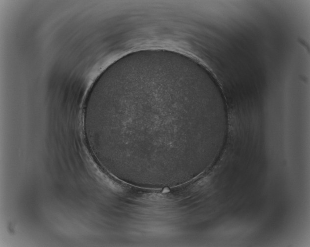X0000102041517200807181501
