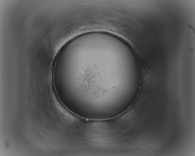 X0000102041518200807181501