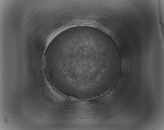 X0000102041520200807181501