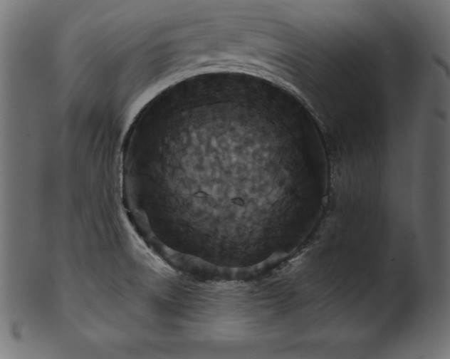 X0000102041522200807181501