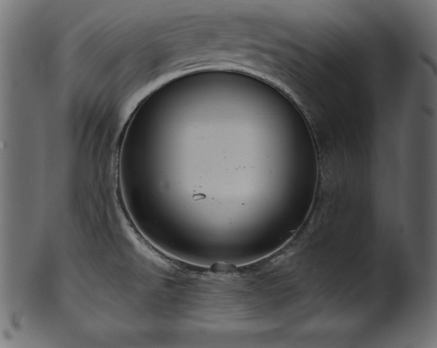 X0000102041526200807181501
