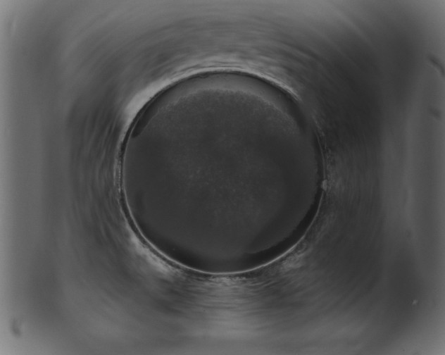 X0000102041527200807181501