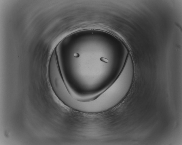 X0000102041528200807181501