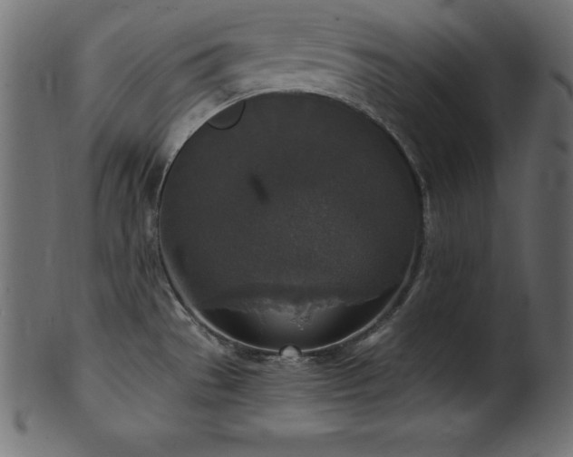 X0000102041529200807181501