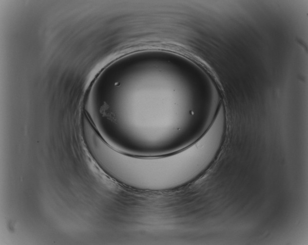X0000102041530200807181501