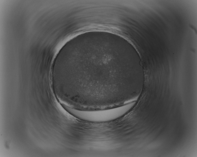 X0000102041531200807181501