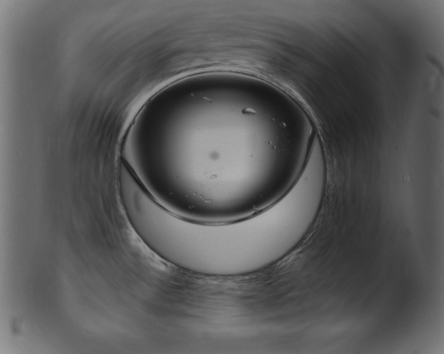 X0000102041532200807181501