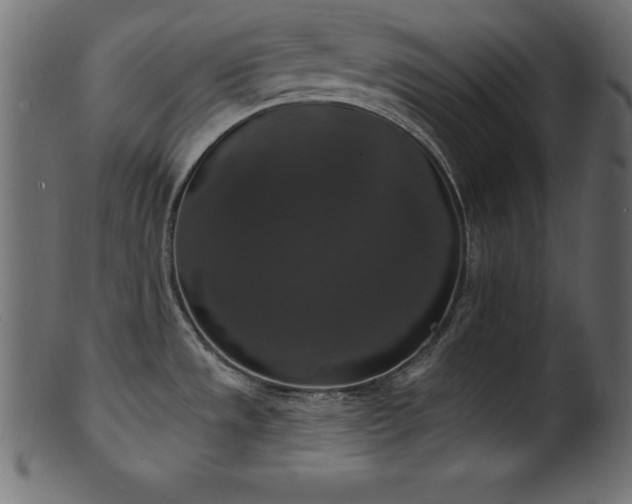 X0000102041533200807181501