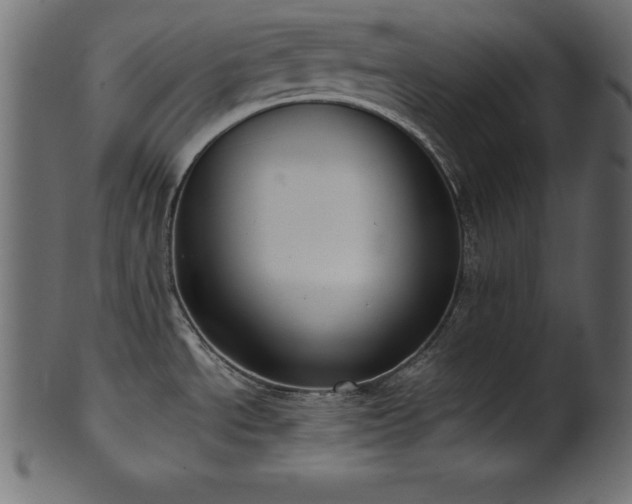 X0000102041534200807181501