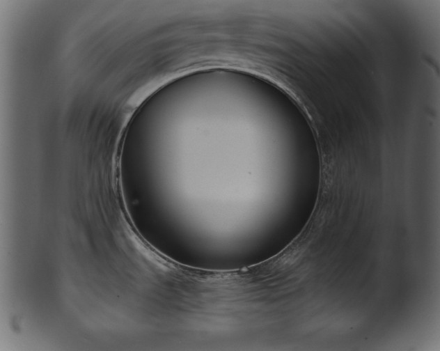X0000102041535200807181501