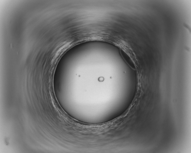 X0000102040001200807251425