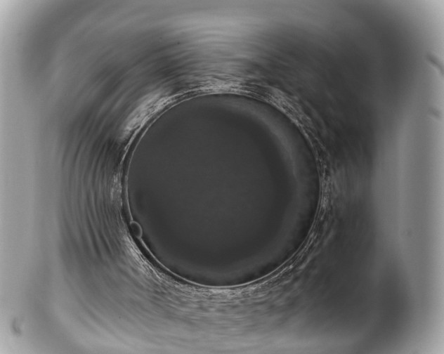 X0000102040002200807251425