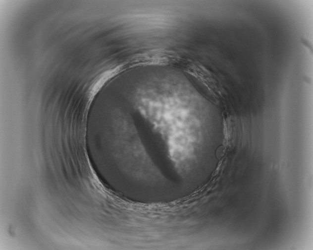 X0000102040003200807251425