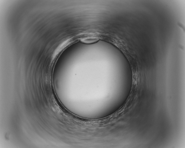 X0000102040004200807251425