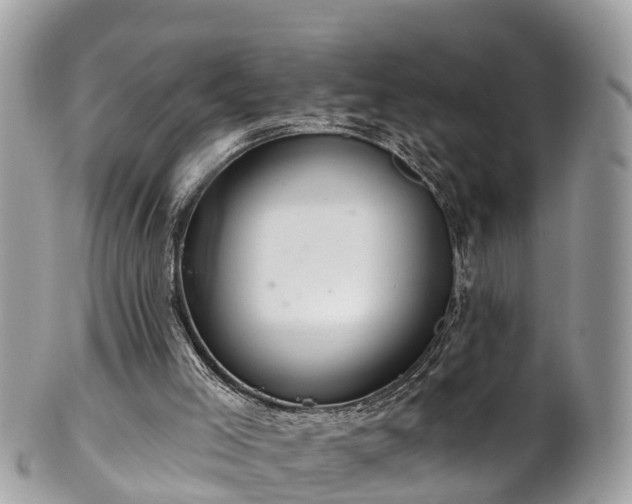 X0000102040005200807251425