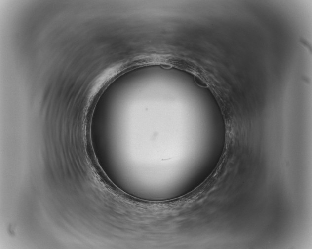 X0000102040006200807251425