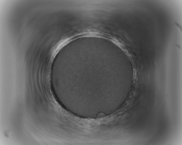 X0000102040007200807251425