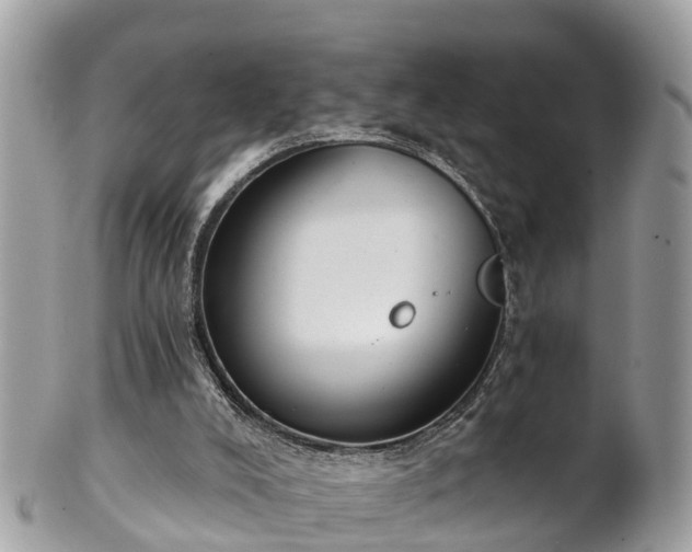 X0000102040008200807251425