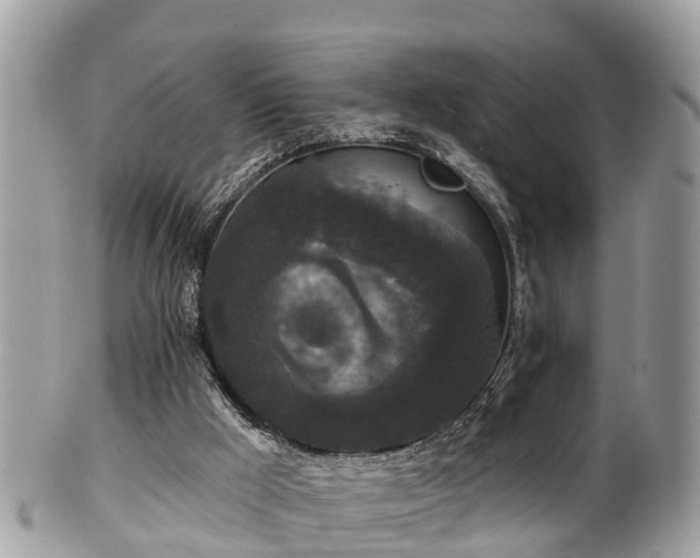 X0000102040009200807251424